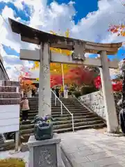 紅葉八幡宮(福岡県)