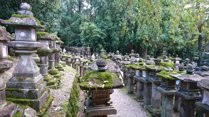 春日大社の{uncategorized: "未分類", other: "その他", undefined: "問題あり", building: "その他建物", grave: "お墓", sacred_gate: "鳥居", guardian: "狛犬", statue: "像", buddha: "仏像", history: "歴史", nature: "自然", garden: "庭園", animal: "動物", pagoda: "塔", temizu: "手水舎", mountain_gate: "山門・神門", sanctuary: "本殿・本堂", subordinate: "末社・摂社", art: "芸術", scenery: "景色", jizo: "地蔵", ema: "絵馬", goshuin: "御朱印", omikuji: "おみくじ", items: "授与品その他", amulet: "お守り", goshuincho: "御朱印帳", eats: "食事", festival: "お祭り", votive_dance: "神楽", shichigosan: "七五三参", wedding: "結婚式", experience: "体験その他", initially: "初詣", around: "周辺", anti_infection: "感染症対策"}