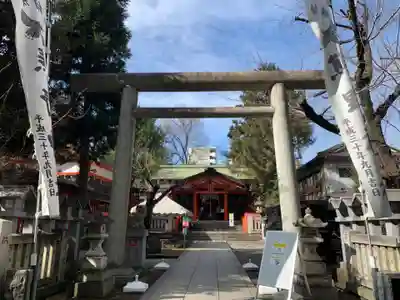 くまくま神社(導きの社 熊野町熊野神社)の鳥居
