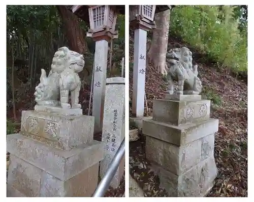 王宮伊豆神社の狛犬