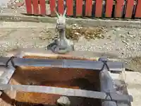 辻本大神 玉市大神の手水舎