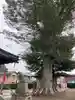 八枝神社(埼玉県)