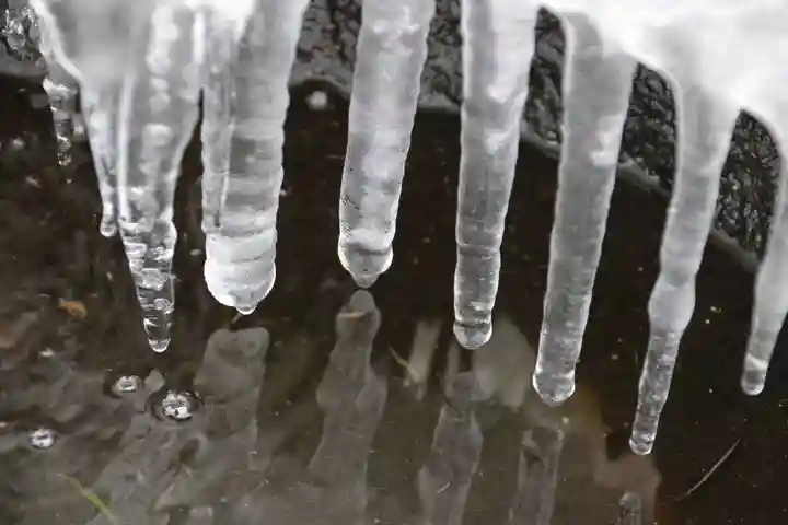 大鏑神社の手水舎