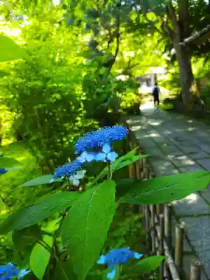 安國論寺（安国論寺）(神奈川県)