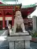 神田神社(神田明神)の狛犬