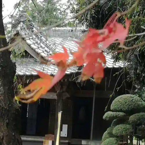 伏木香取神社の本殿・本堂