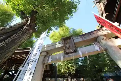飛木稲荷神社(東京都)