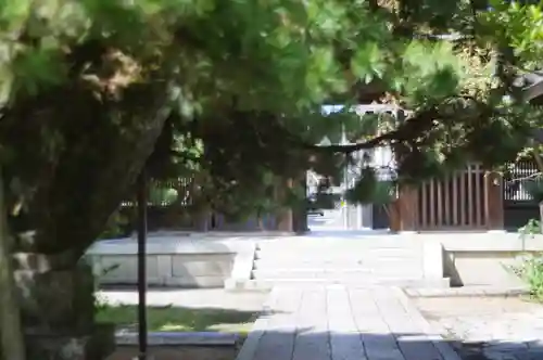 御霊神社（上御霊神社）(京都府)