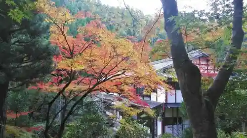 吟松寺の景色