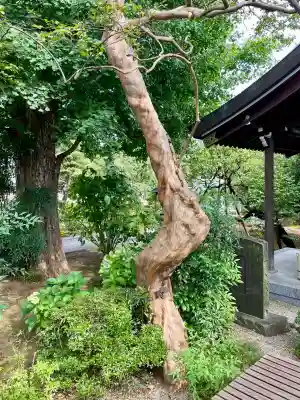 円光院(東京都)