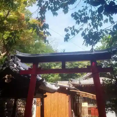 岐阜稲荷山本社(岐阜県)