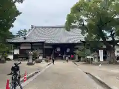 大樹寺（松安院大樹寺）(愛知県)