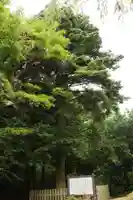 三尾神社 旧跡(滋賀県)