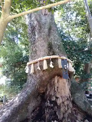 松阪神社(三重県)