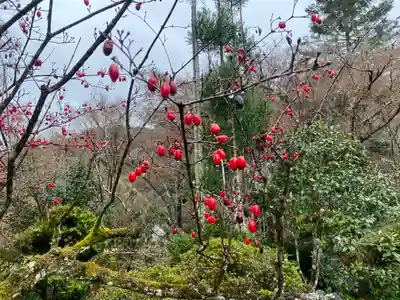 神藏寺(京都府)