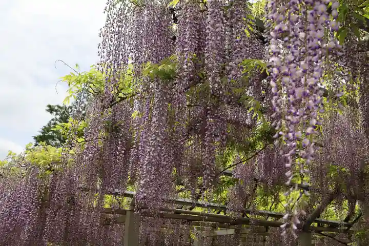 三大神社(滋賀県)
