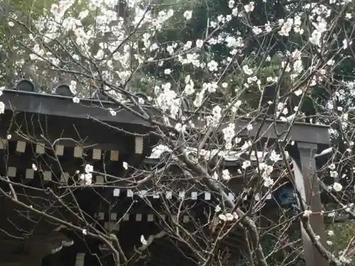 安國論寺（安国論寺）の自然