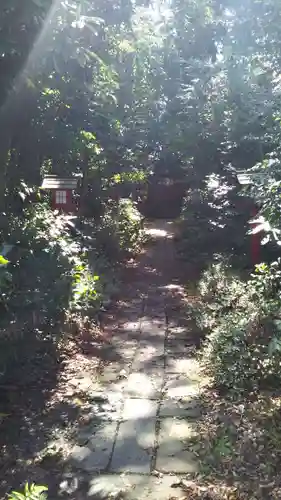 鷲宮神社の自然