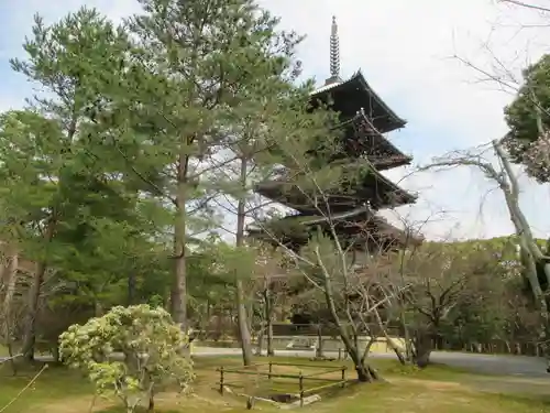 仁和寺の庭園