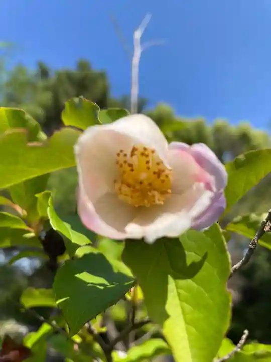 鶴林寺(兵庫県)