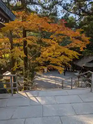 大神神社(奈良県)