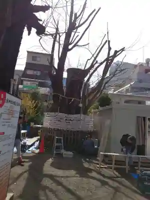 天祖神社(東京都)