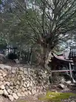 手力雄神社(岐阜県)