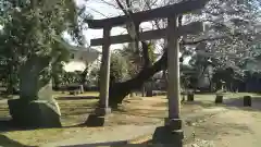 星神社の鳥居