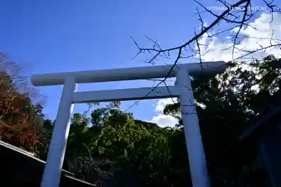 安房神社(千葉県)