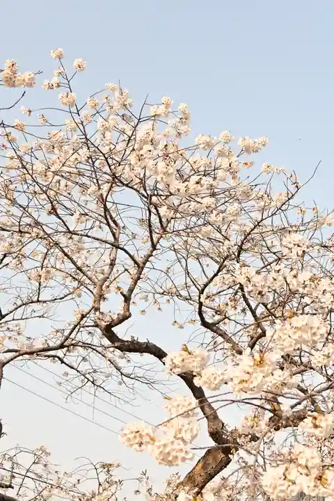 実報寺(愛媛県)