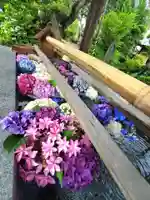 豊景神社の手水舎