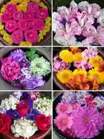 菅生神社の手水舎