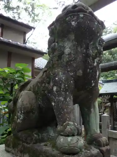 白雲神社の狛犬