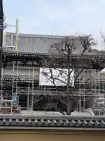 霊雲寺(東京都)