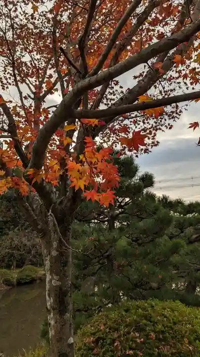 法金剛院(京都府)