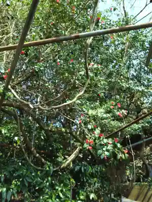 八大龍王水神(宮崎県)