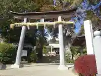 比々多神社の鳥居