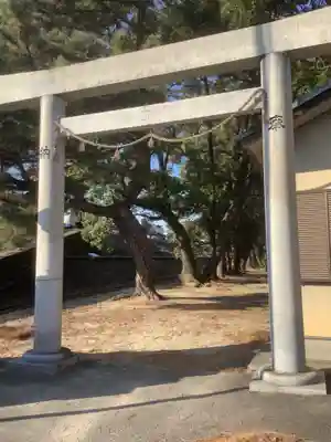 熱田社(宝神町会所裏)の鳥居