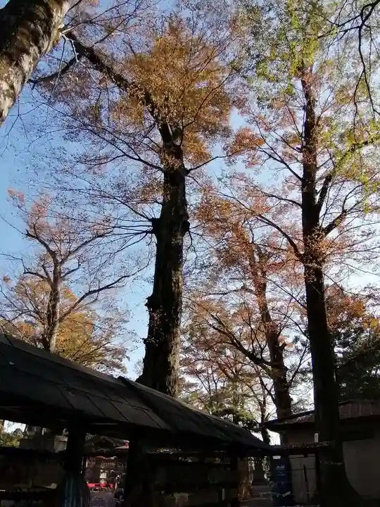 一言主神社の自然