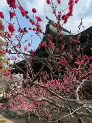 多賀神社(福岡県)