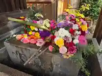 勝林寺(京都府)