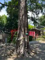 下神明天祖神社(東京都)