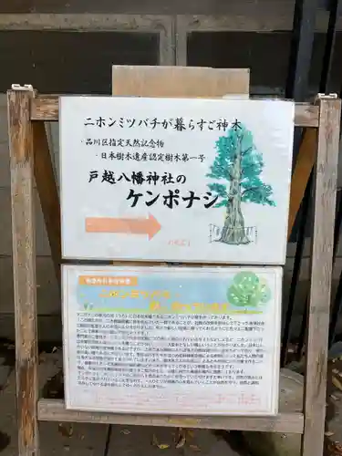 戸越八幡神社のその他建物