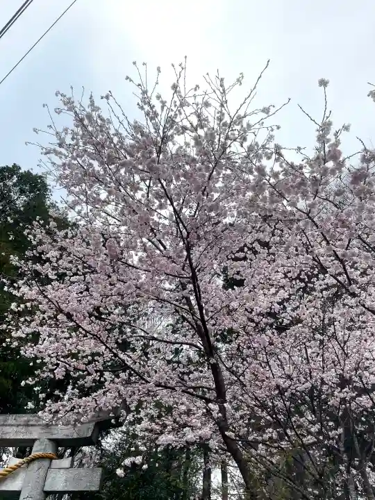 糀谷八幡宮(埼玉県)