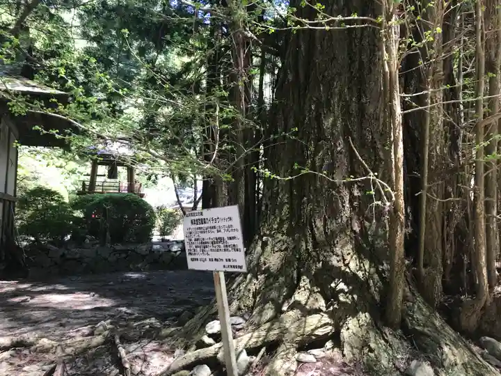 柳津虚空蔵尊 寳性院のその他建物