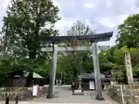 闘鶏神社(和歌山県)