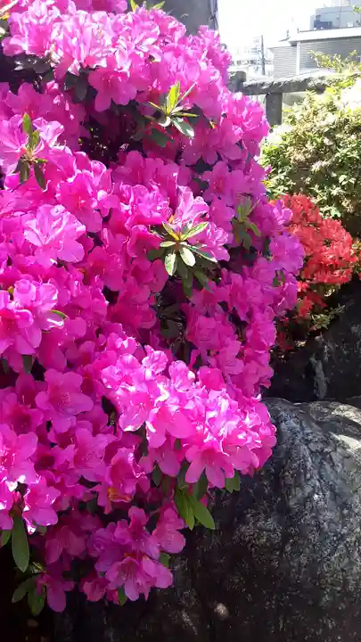 鳩森八幡神社(東京都)