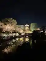 東寺(教王護国寺)(京都府)