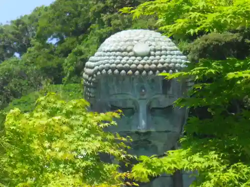 高徳院の仏像