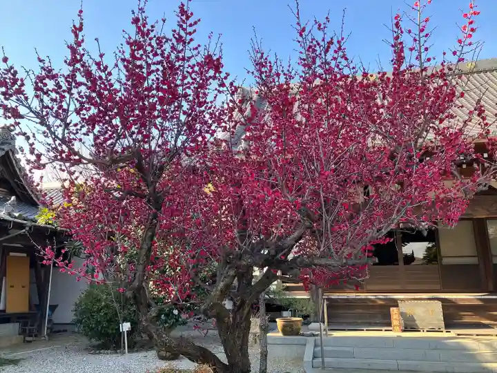 延命寺(愛知県)